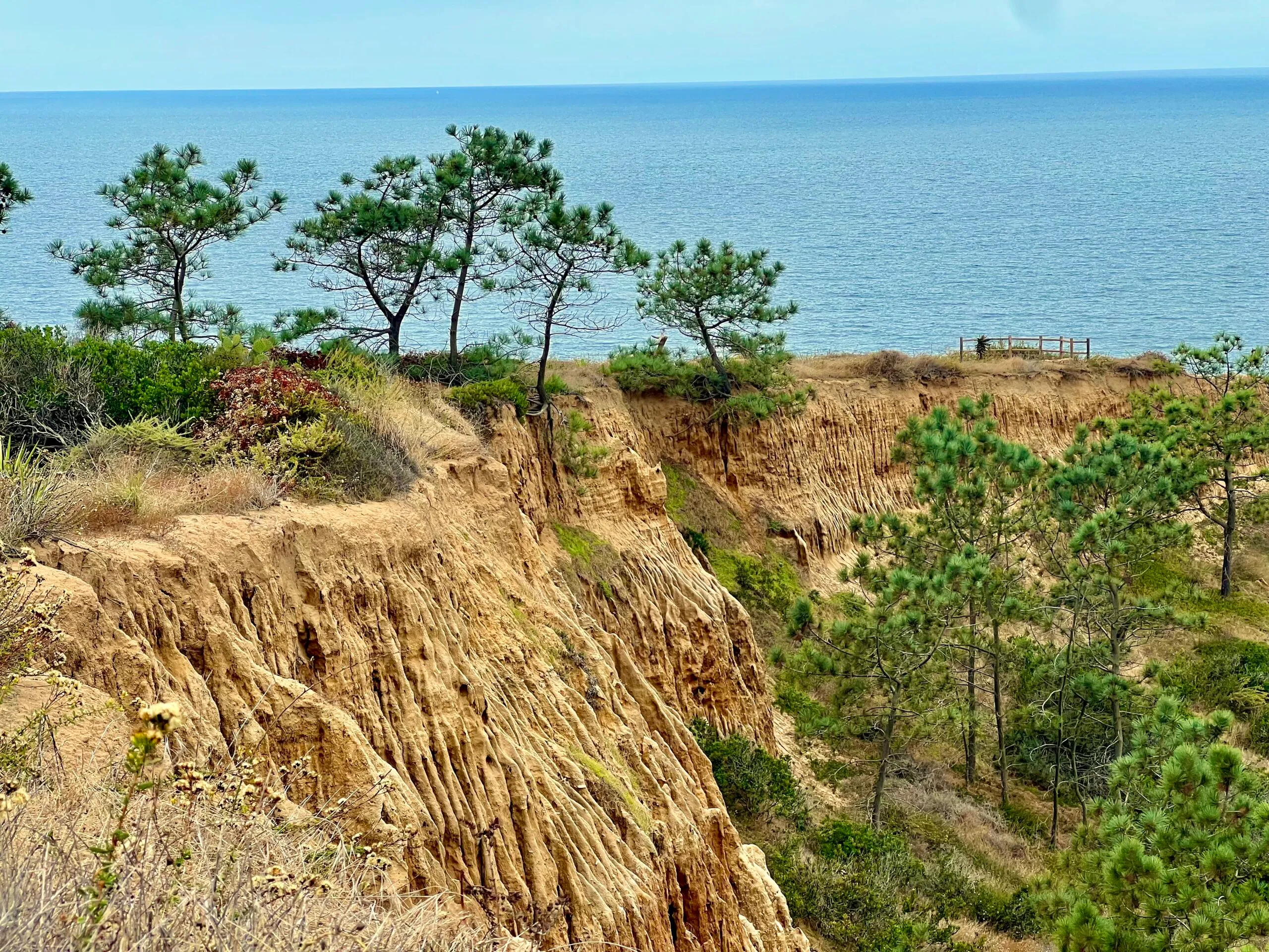 Torrey Pines State Park