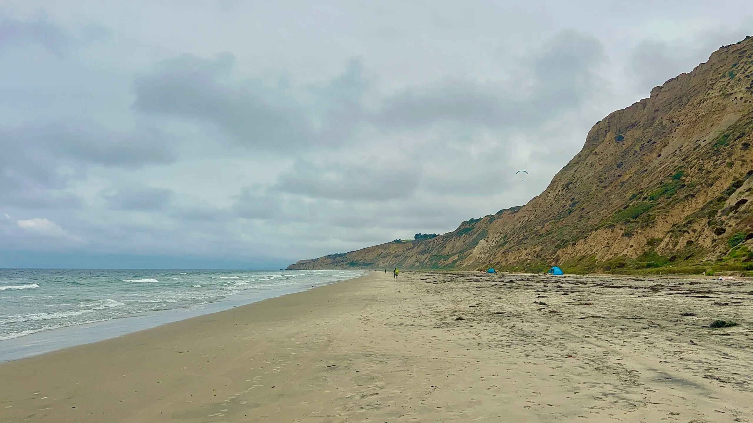 Black's Beach looking north