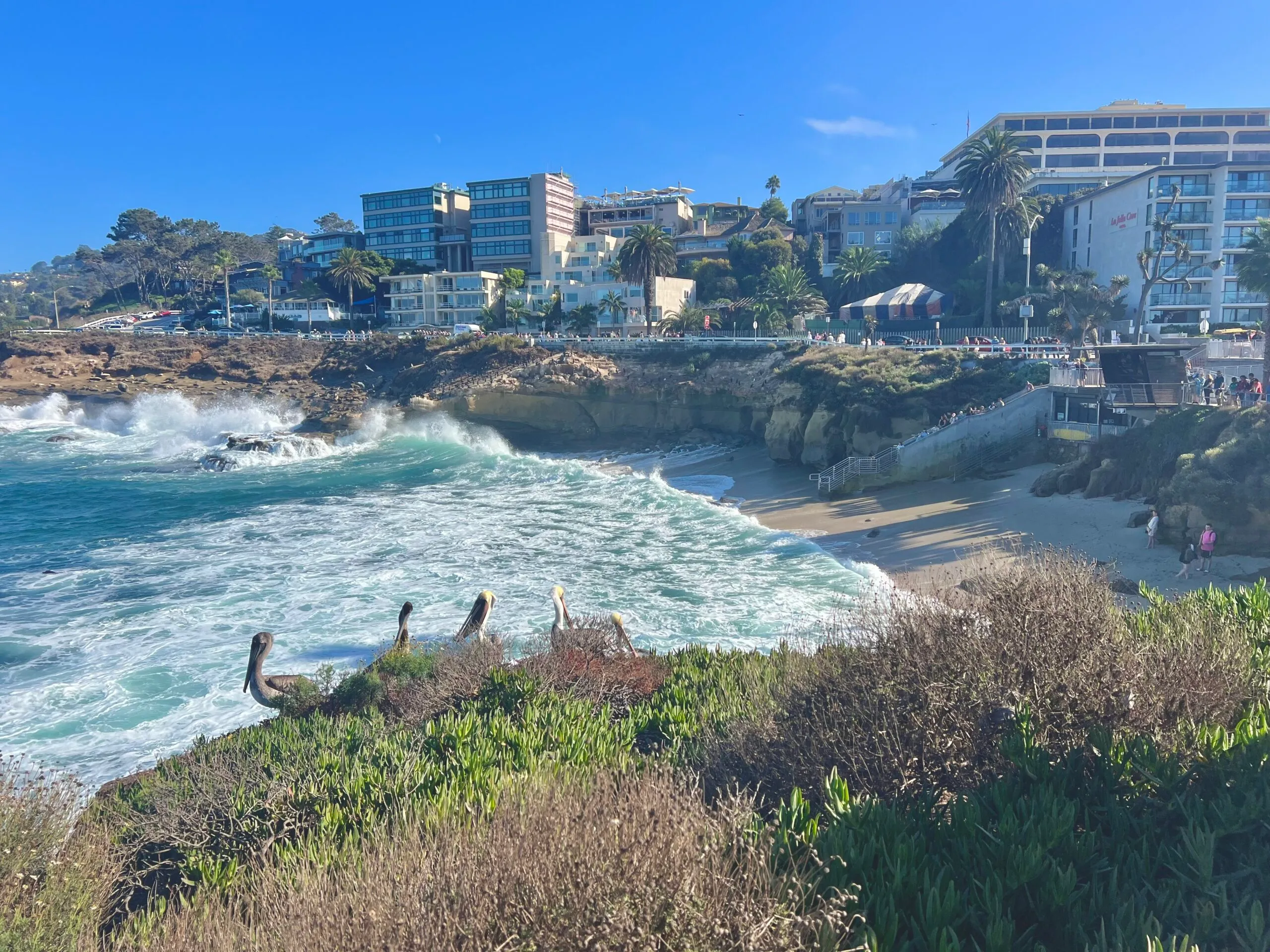La Jolla Cove Beach