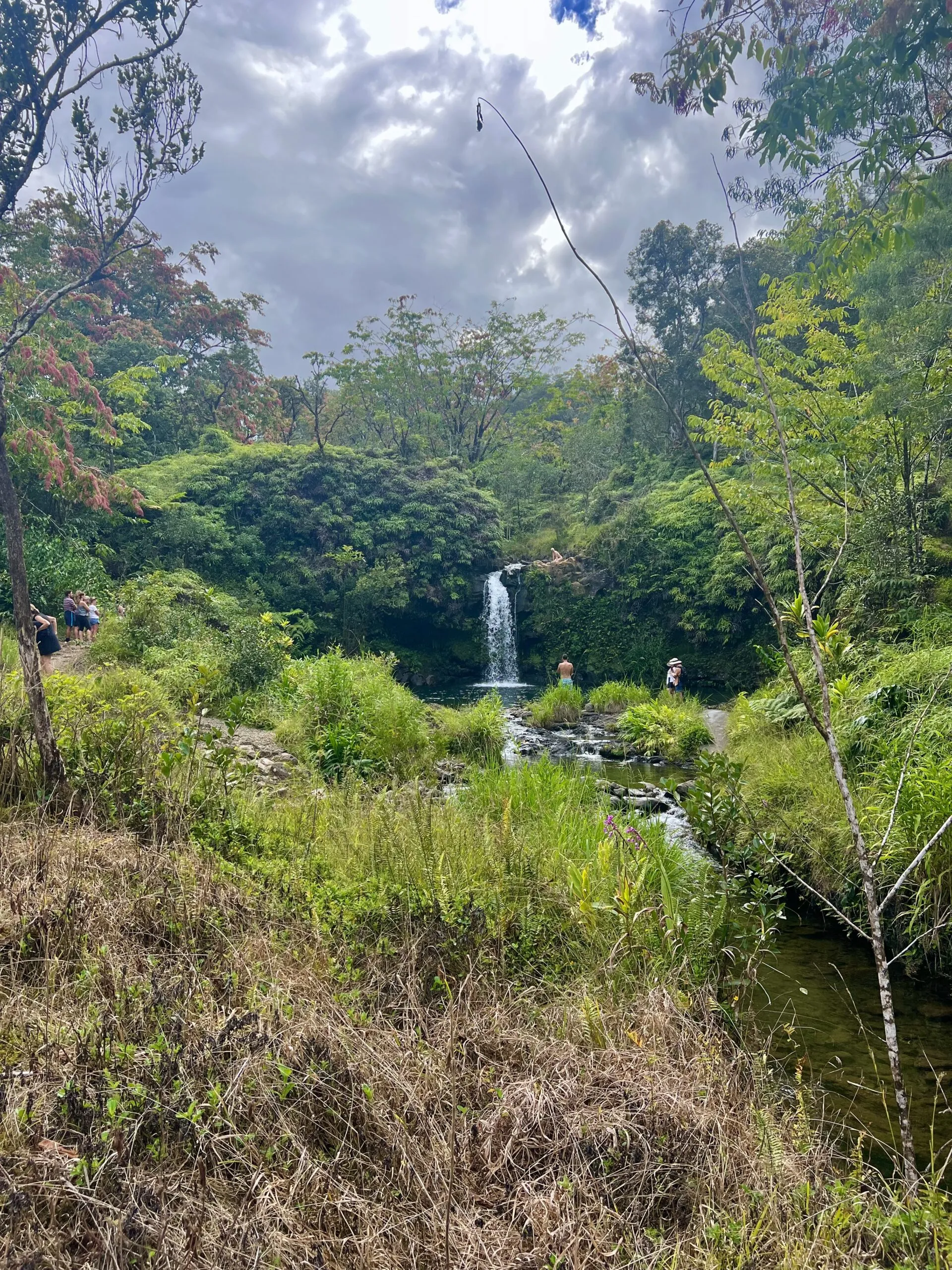 Pu'a Ka'a State Wayside Park- stop along the road to Hana