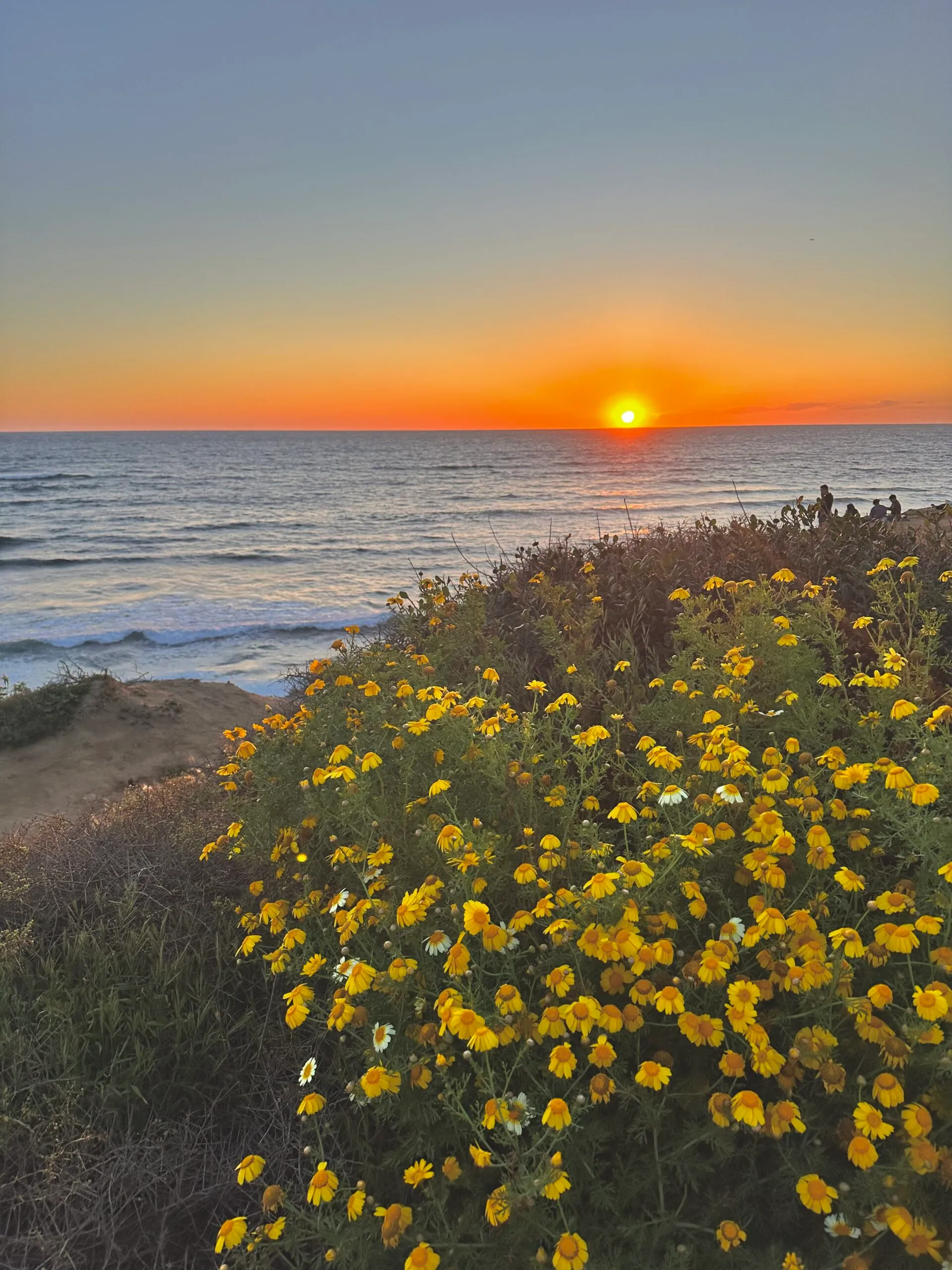 Sunny day in San Diego