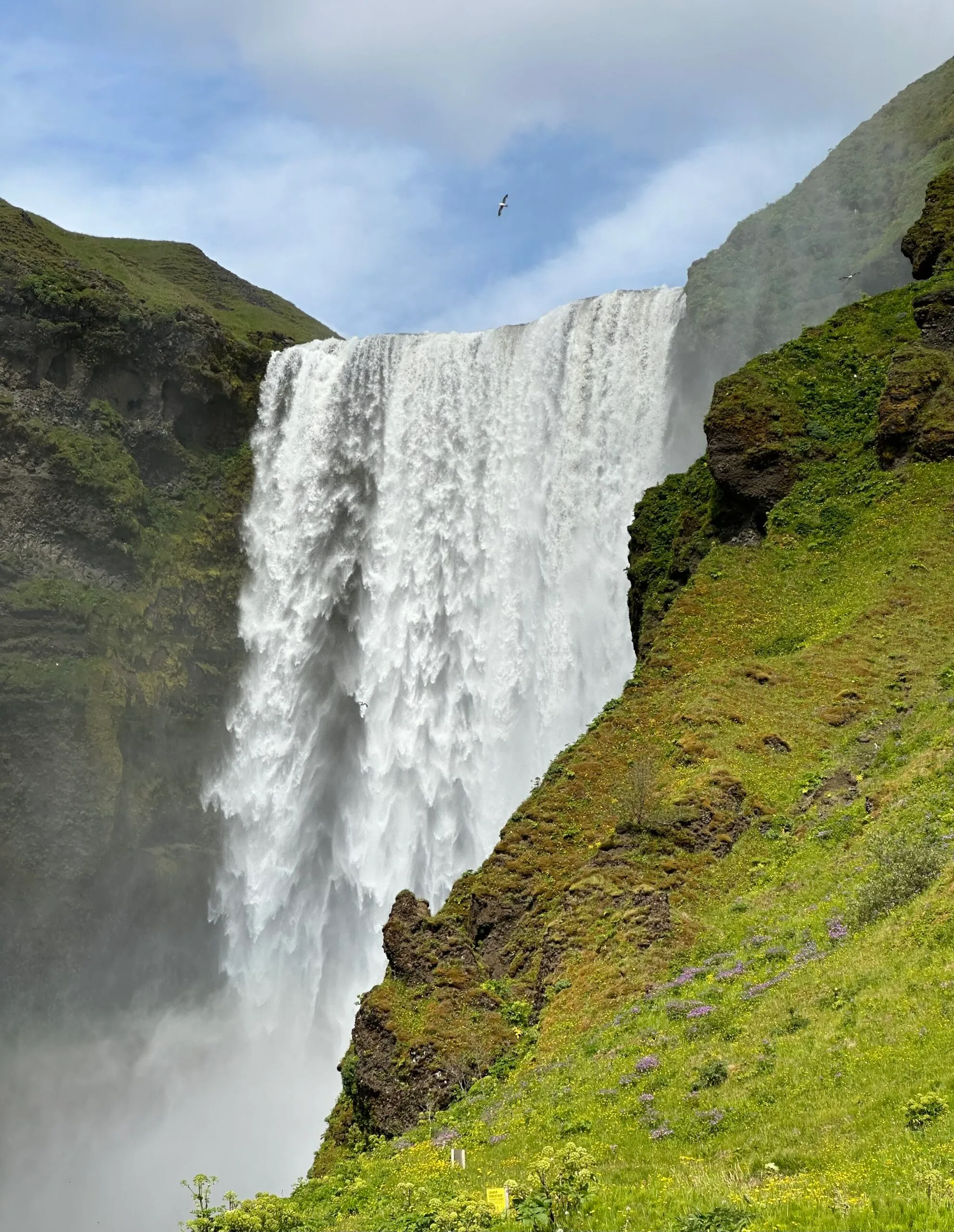 Skógafoss Waterfall, Iceland - Iceland Travel Tips 2024