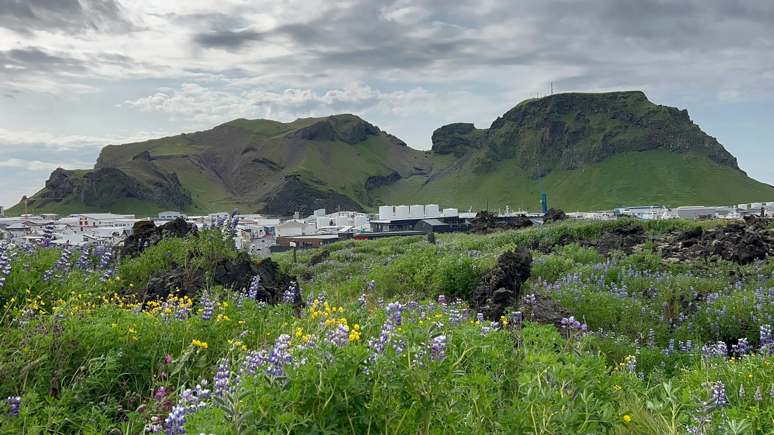 Day Three of 7-Day Iceland Itinerary - photo of Vestmannaeyjabæ in Iceland