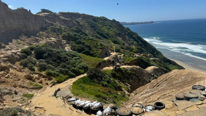 How To Get To Black's Beach, San Diego: Everything You Need to Know For a Safe Visit