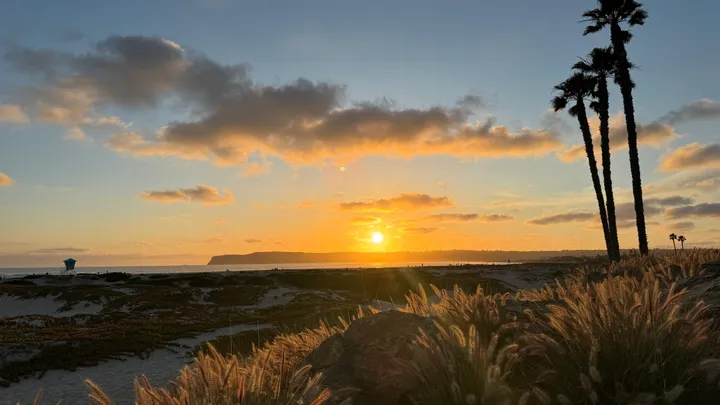 8 Prettiest Beaches in San Diego, California (Local’s Guide to Hidden Gems &amp; Scenic Spots)