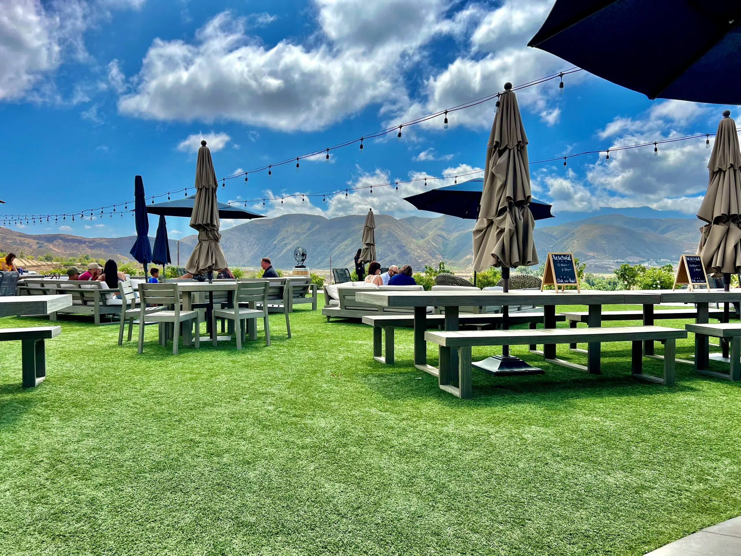 Temecula Vineyard