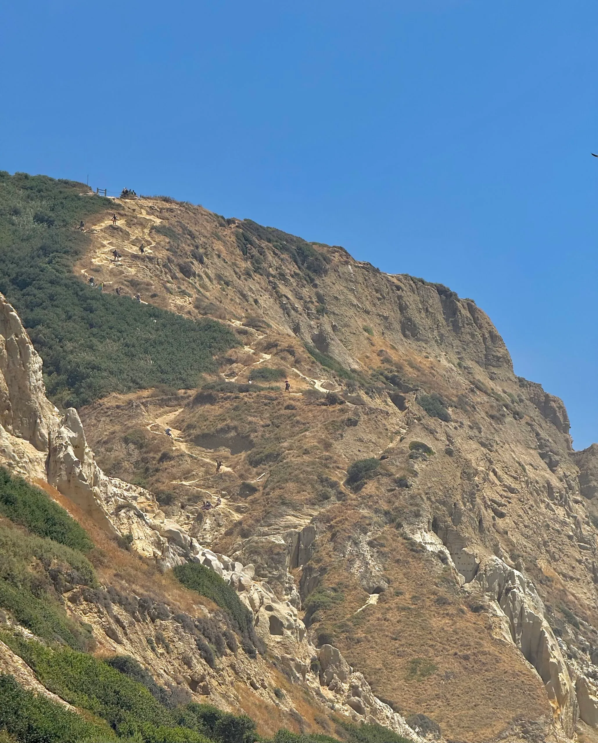Steep access trail via Torrey Pines Gliderport Parking Lot - North