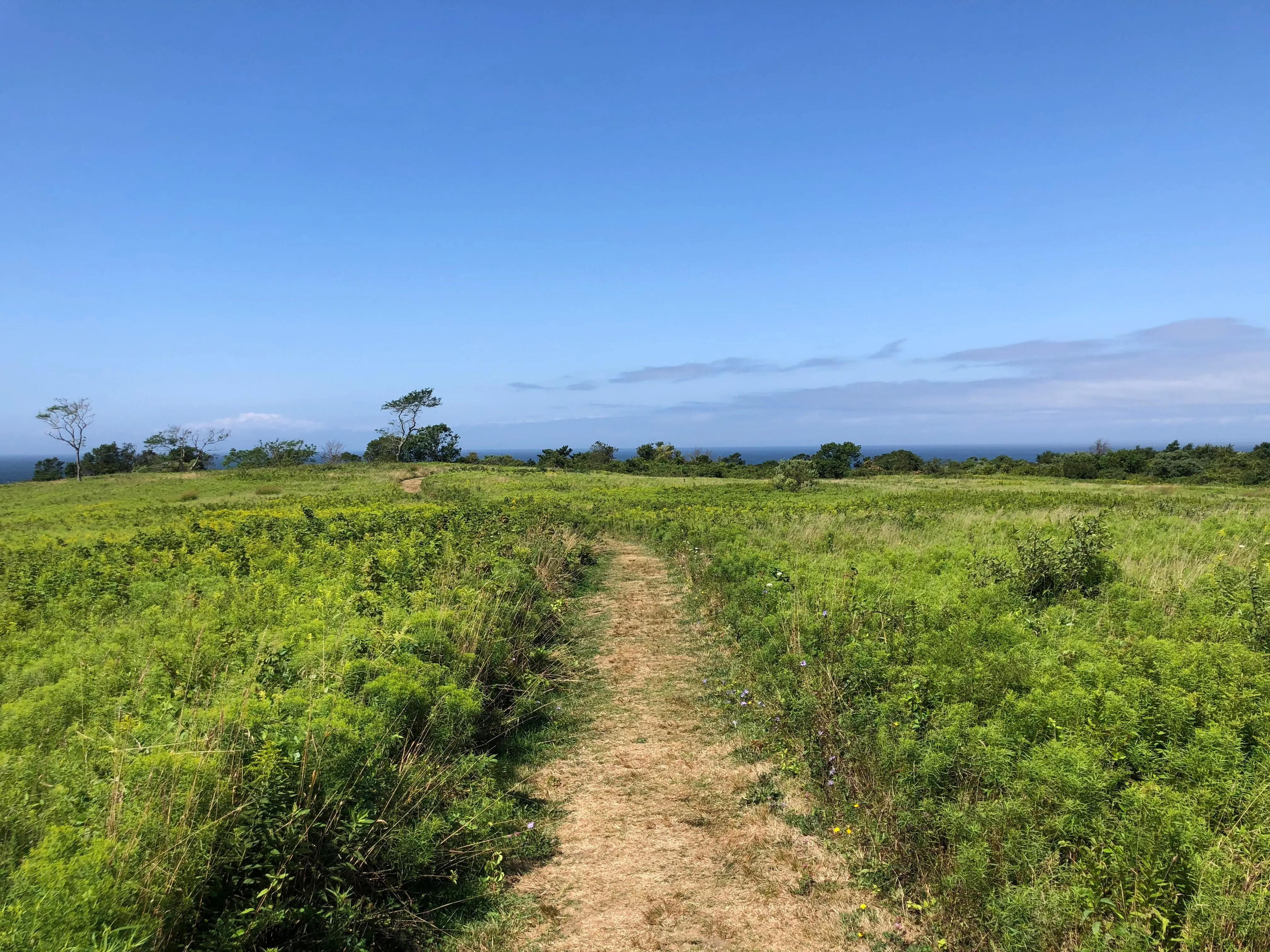 Grassy trail ocean view at Hodge Family Wildlife Preserve