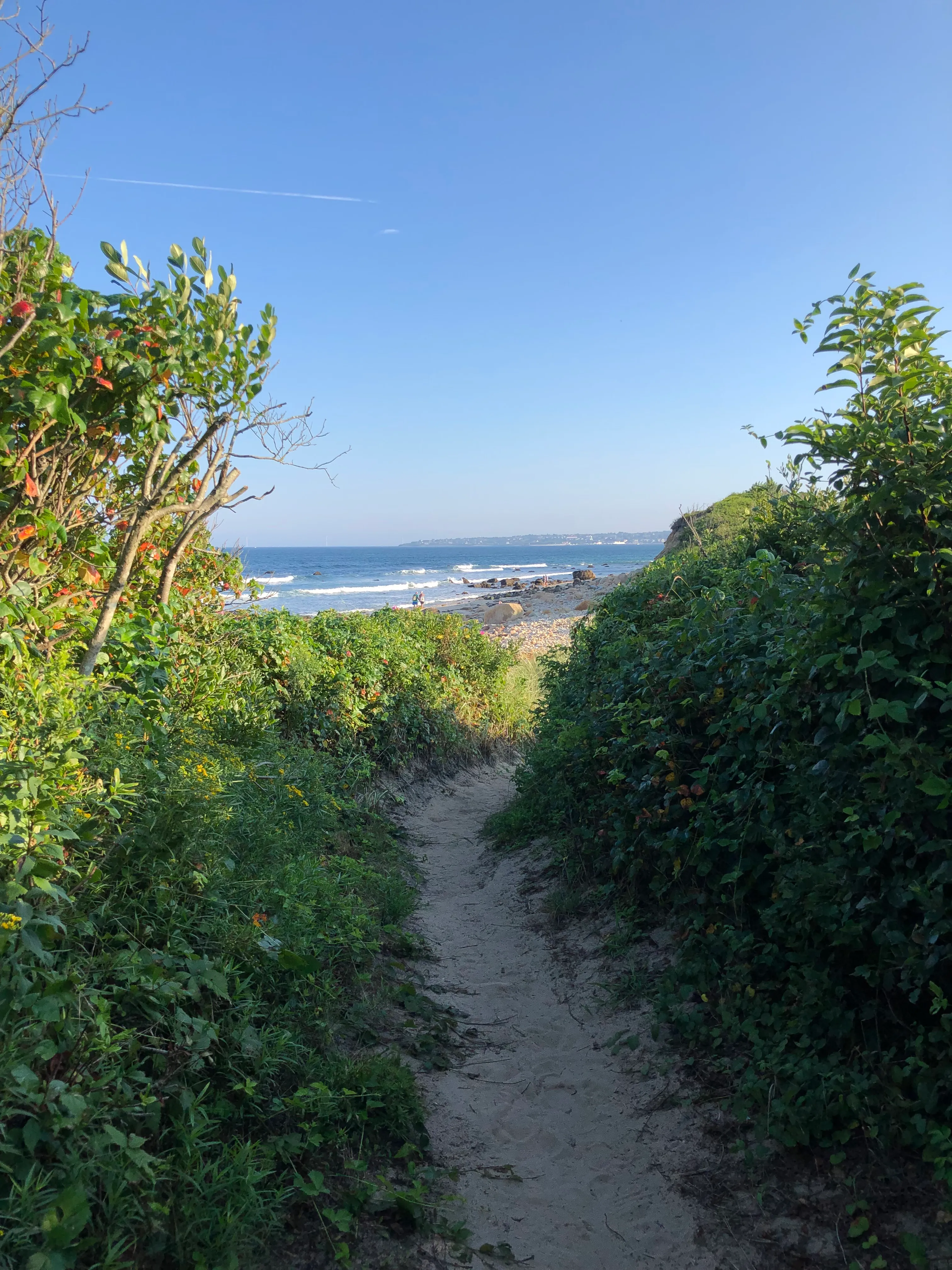 Sandy beach path to Clayhead Beach