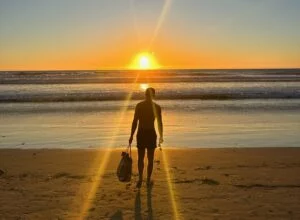 what to do in san diego