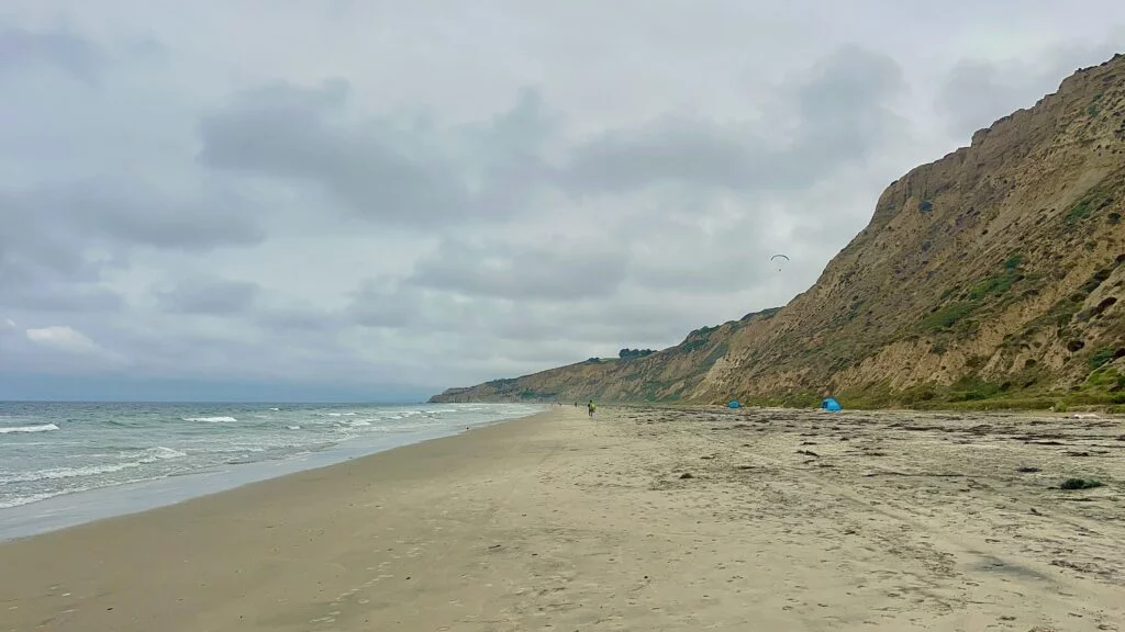 Black's Beach looking north