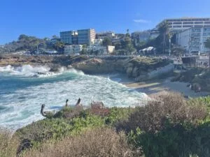 La Jolla Cove Beach