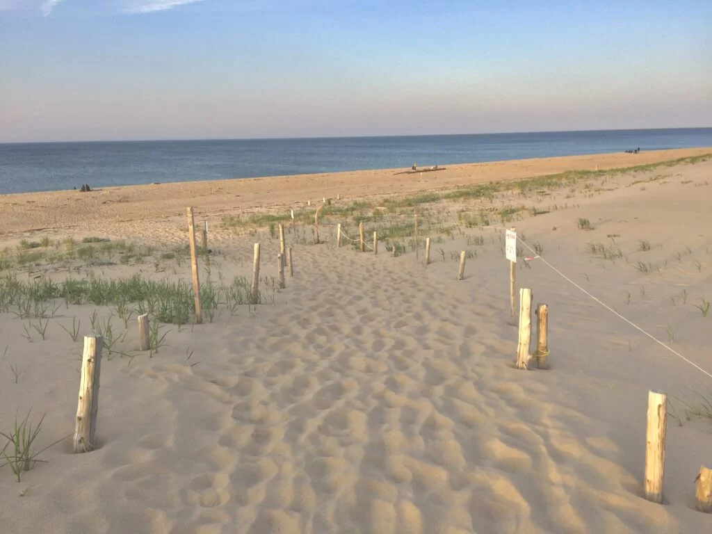 Head of the Meadow Beach, Cape Cod
