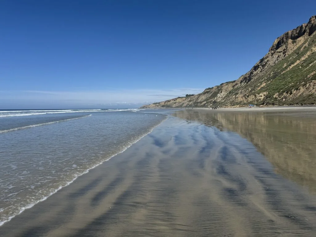 Black's Beach