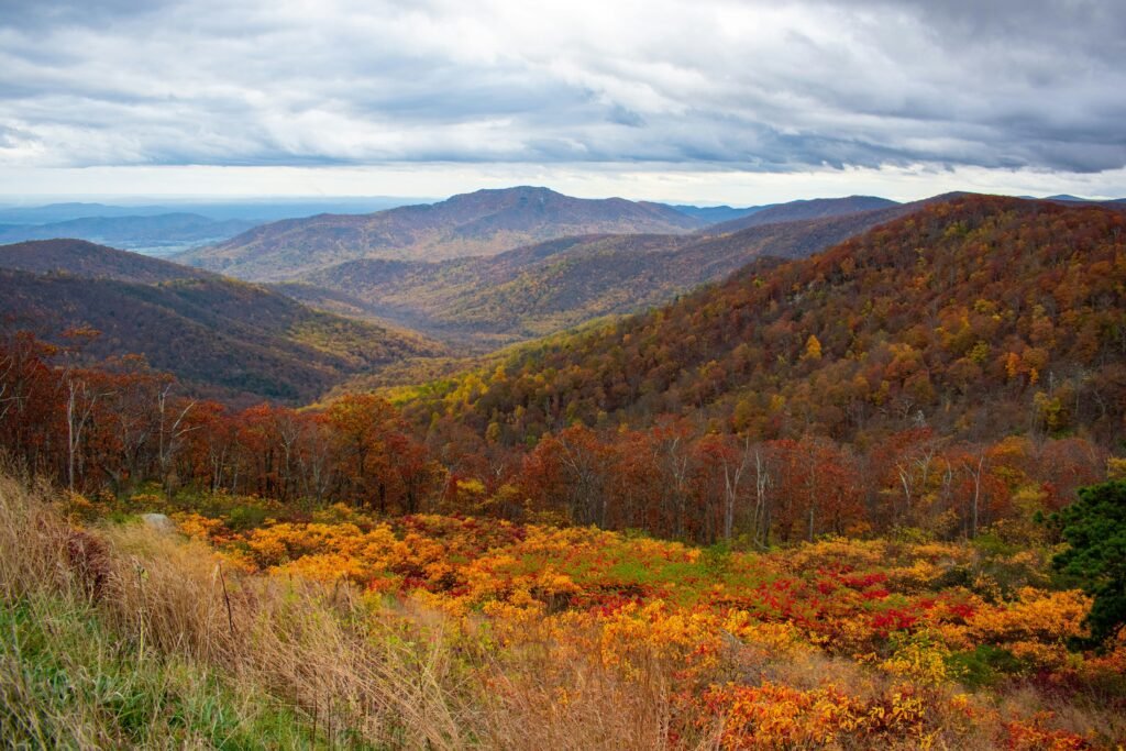 Shenandoah National Park - national parks with timed entry 2025